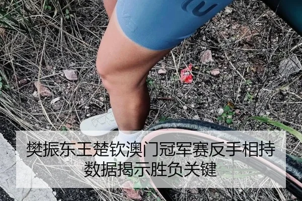 樊振东王楚钦澳门冠军赛反手相持数据揭示胜负关键