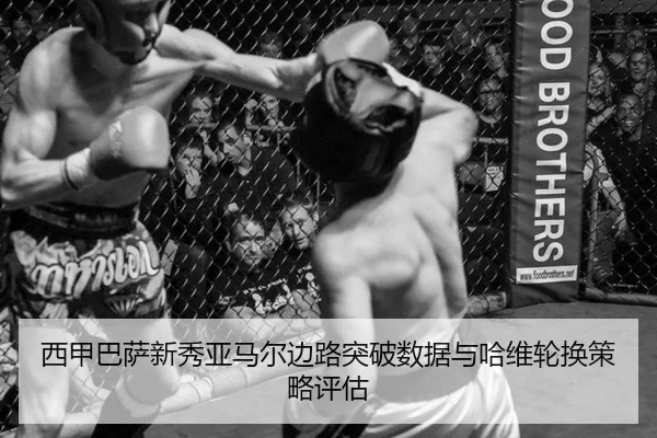 xi-jia-ba-sa-xin-xiu-ya-ma-er-bian-lu-tu-po-shu-ju-yu-ha-wei-lun-huan-ce-lve-ping-gu-2-655.jpg