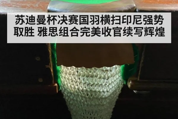 苏迪曼杯决赛国羽横扫印尼强势取胜 雅思组合完美收官续写辉煌