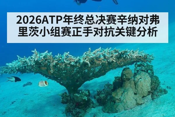 2026ATP年终总决赛辛纳对弗里茨小组赛正手对抗关键分析